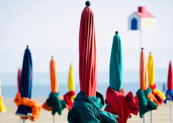 Le Camaieu Deauville